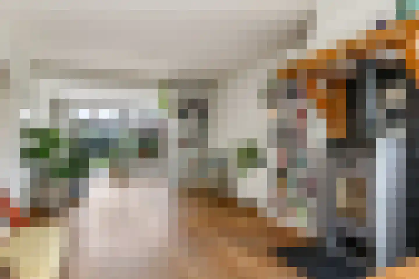 Martin Luther Kingplantsoen 7 Zetten thumbnail 12