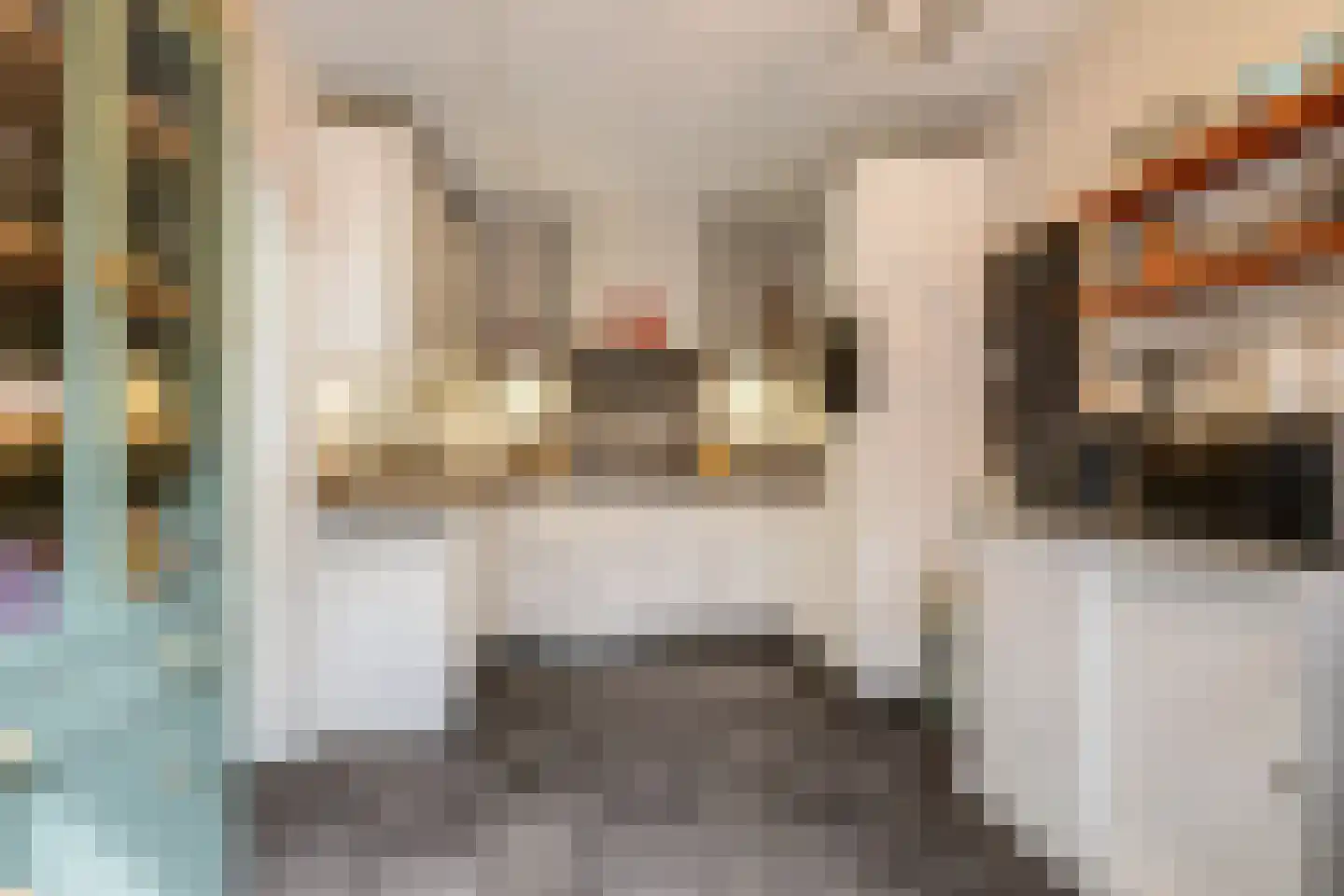 Martin Luther Kingplantsoen 7 Zetten thumbnail 23