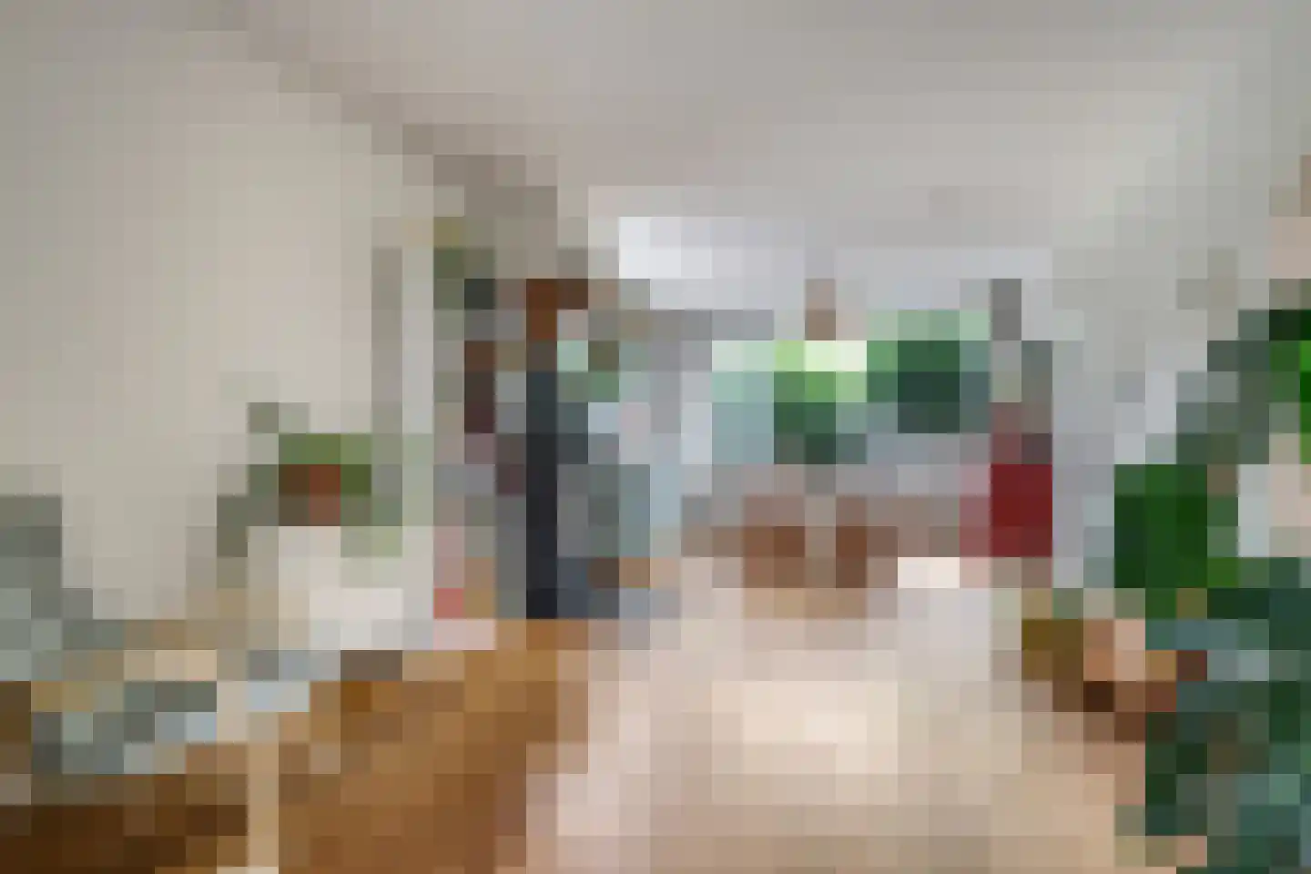 Martin Luther Kingplantsoen 7 Zetten thumbnail 25