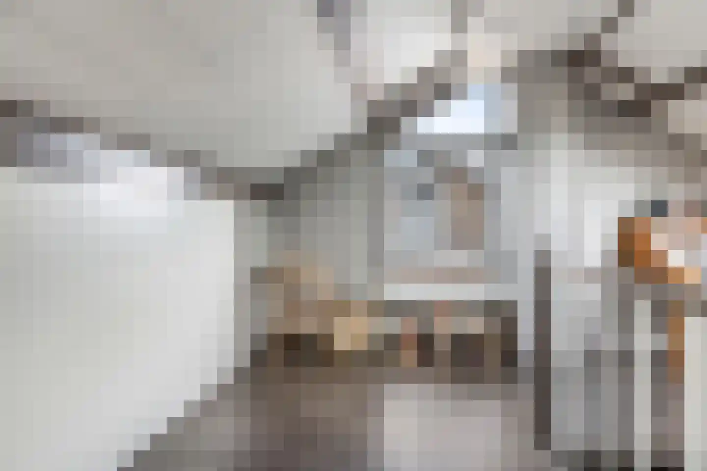 Martin Luther Kingplantsoen 7 Zetten thumbnail 43