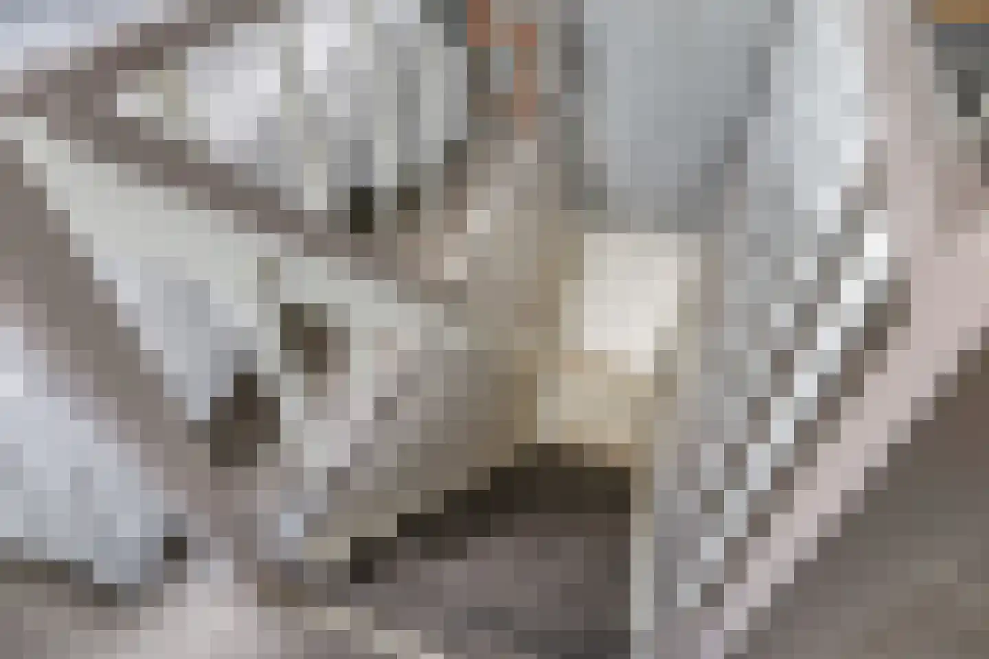 Martin Luther Kingplantsoen 7 Zetten thumbnail 46