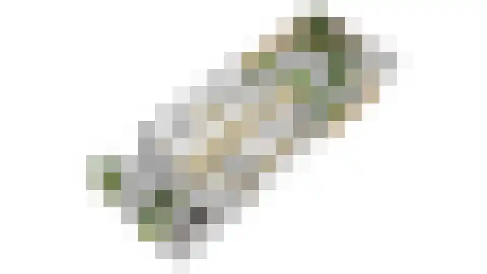Martin Luther Kingplantsoen 7 Zetten thumbnail 48