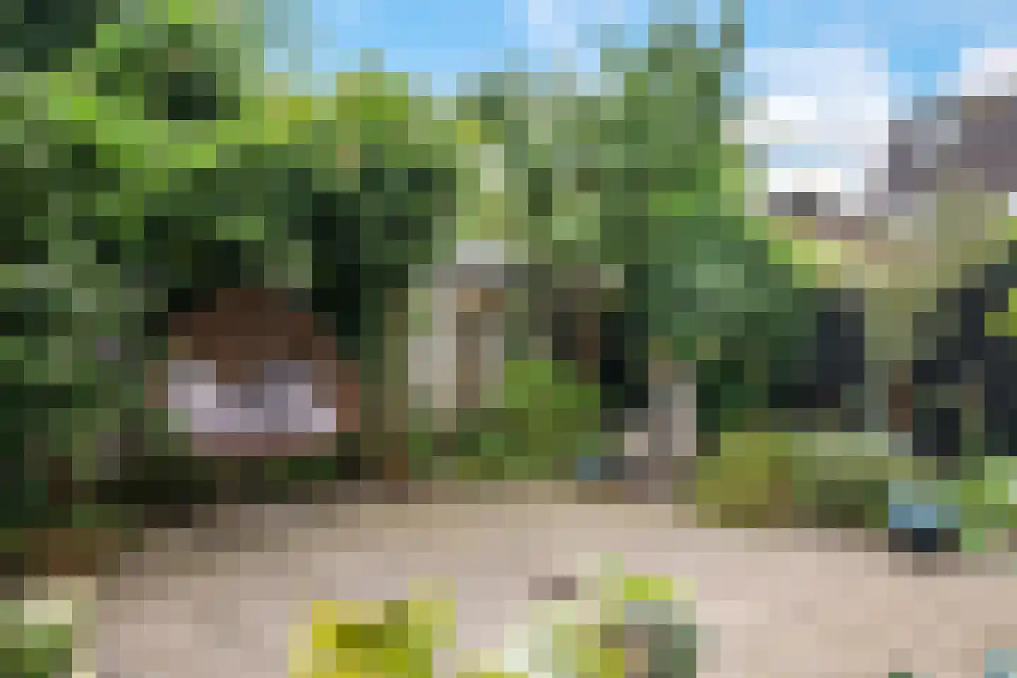 Martin Luther Kingplantsoen 7 Zetten thumbnail 57