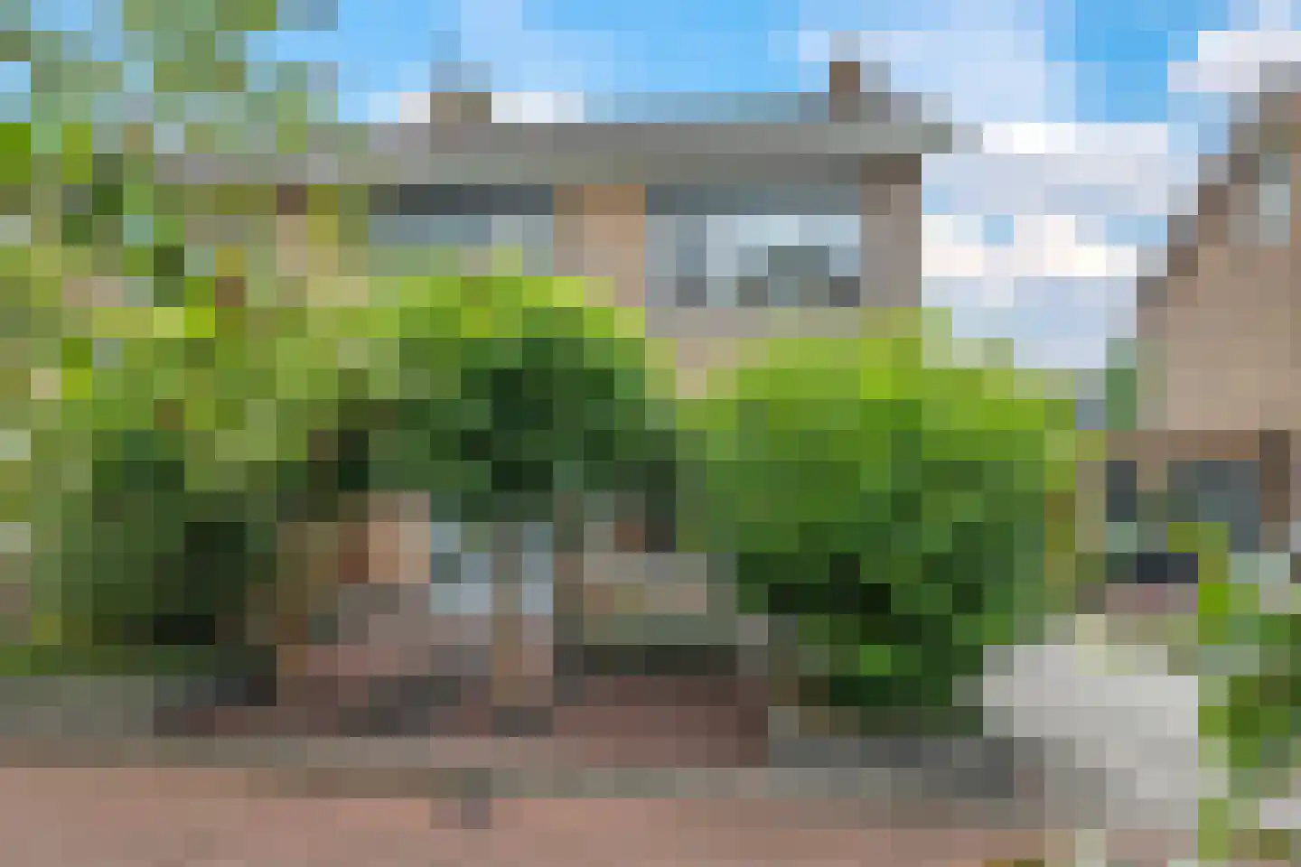 Martin Luther Kingplantsoen 7 Zetten thumbnail 6