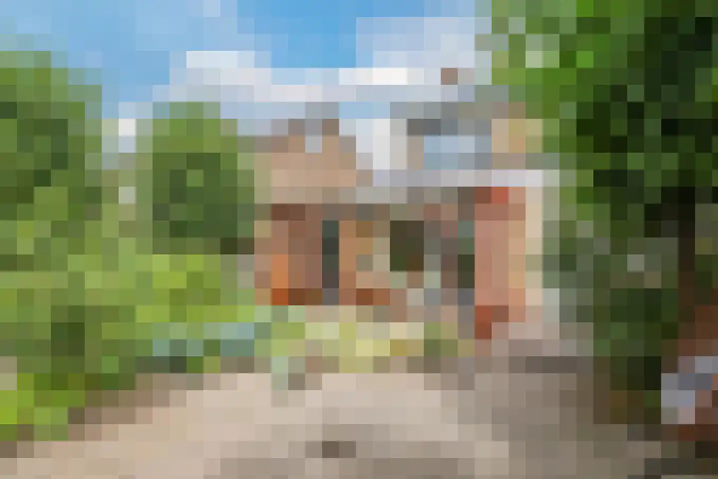 Martin Luther Kingplantsoen 7 Zetten thumbnail 62
