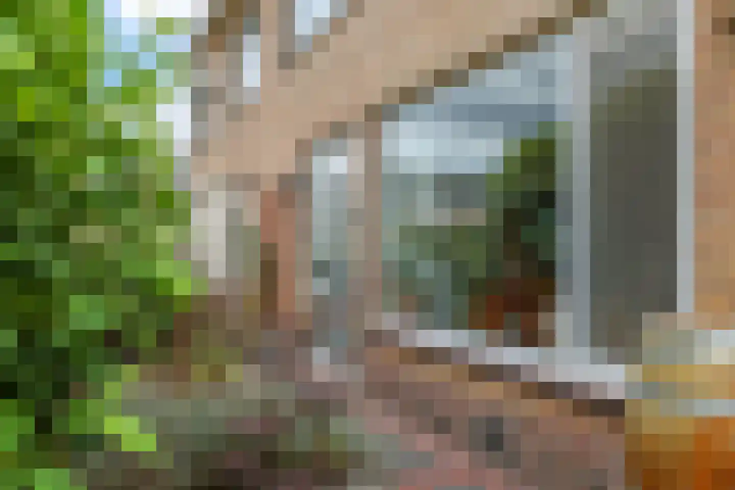 Martin Luther Kingplantsoen 7 Zetten thumbnail 68