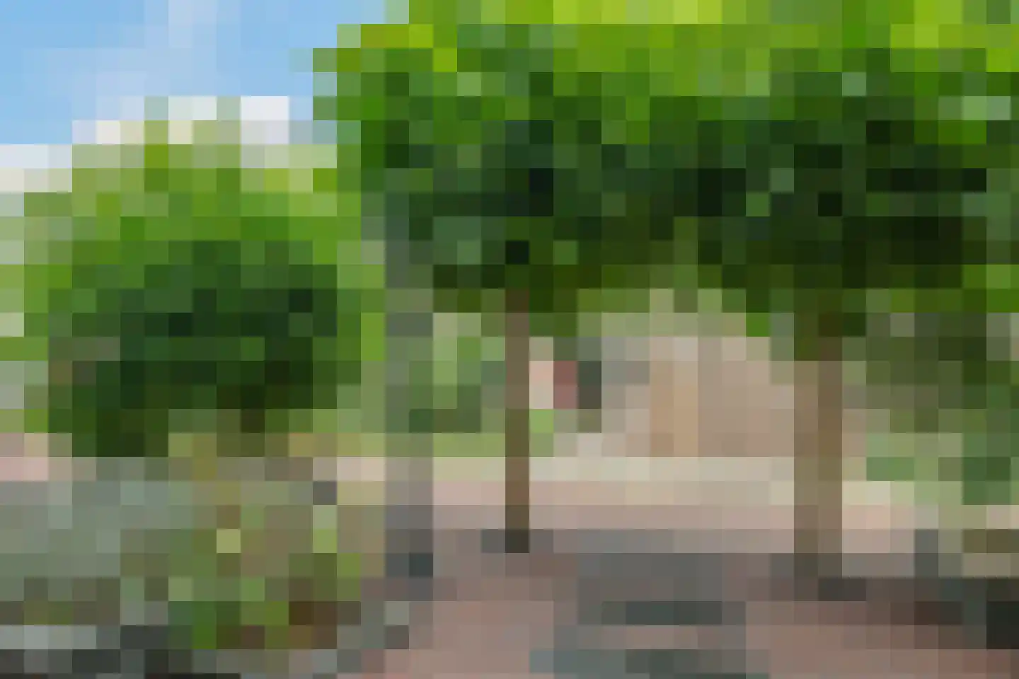 Martin Luther Kingplantsoen 7 Zetten thumbnail 69