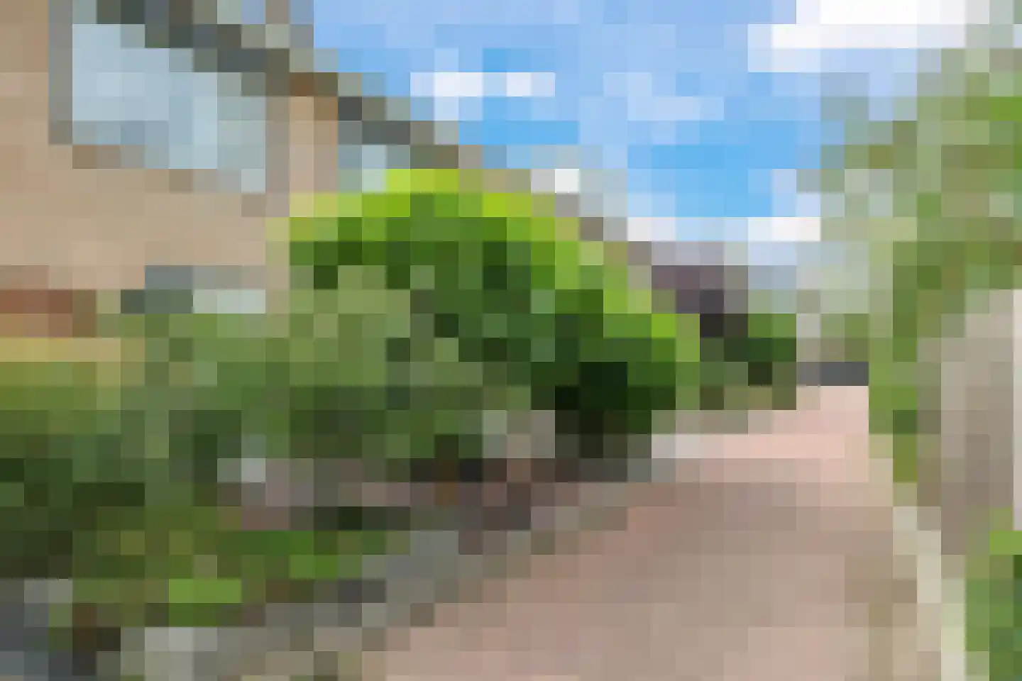 Martin Luther Kingplantsoen 7 Zetten thumbnail 72