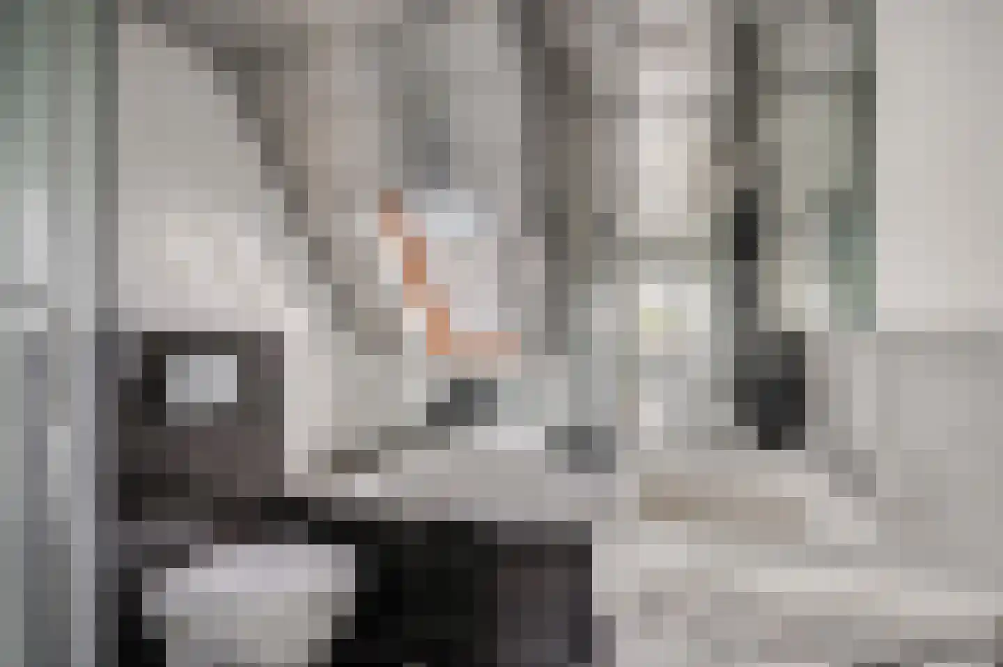 Martin Luther Kingstate 25 Ede thumbnail 22