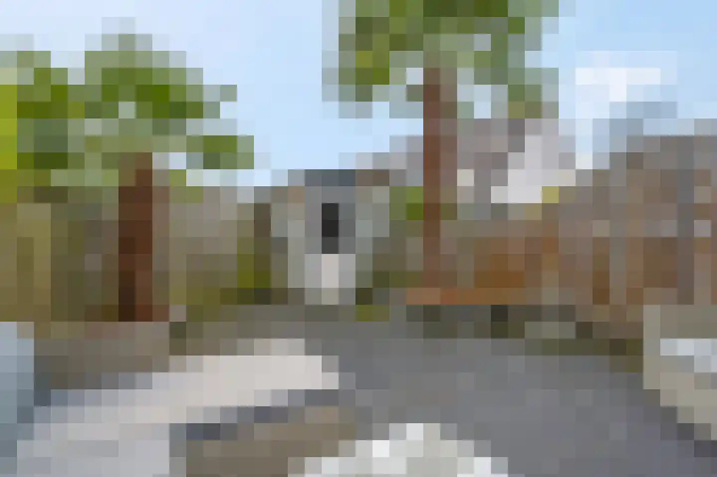 Martin Luther Kingstate 25 Ede thumbnail 29