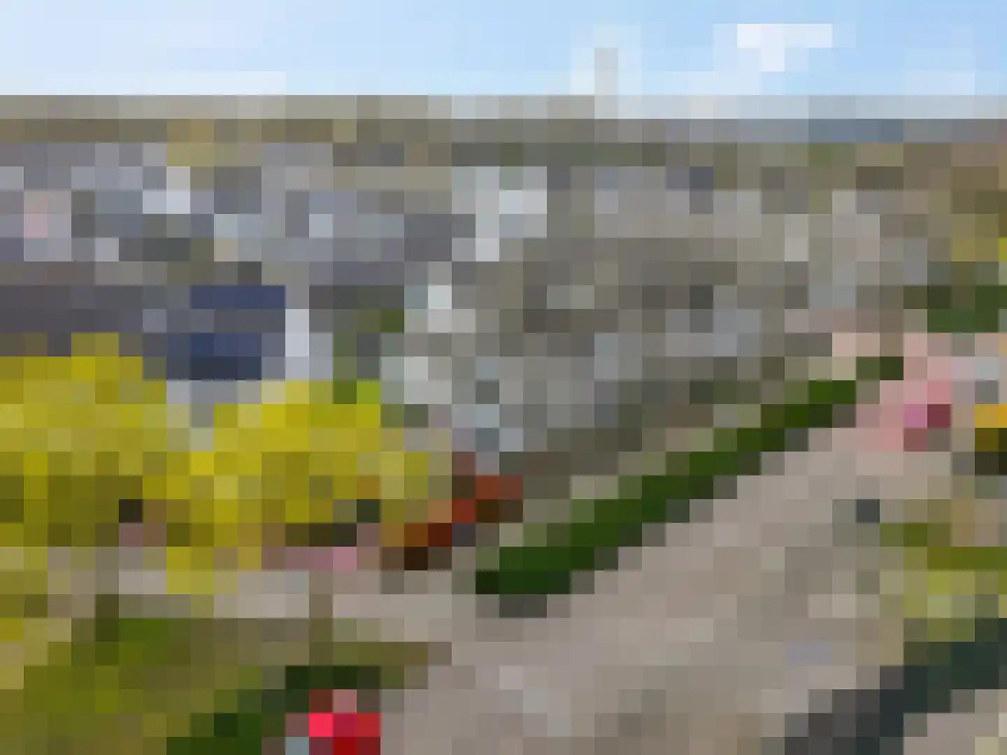 Martin Luther Kingstate 25 Ede thumbnail 35