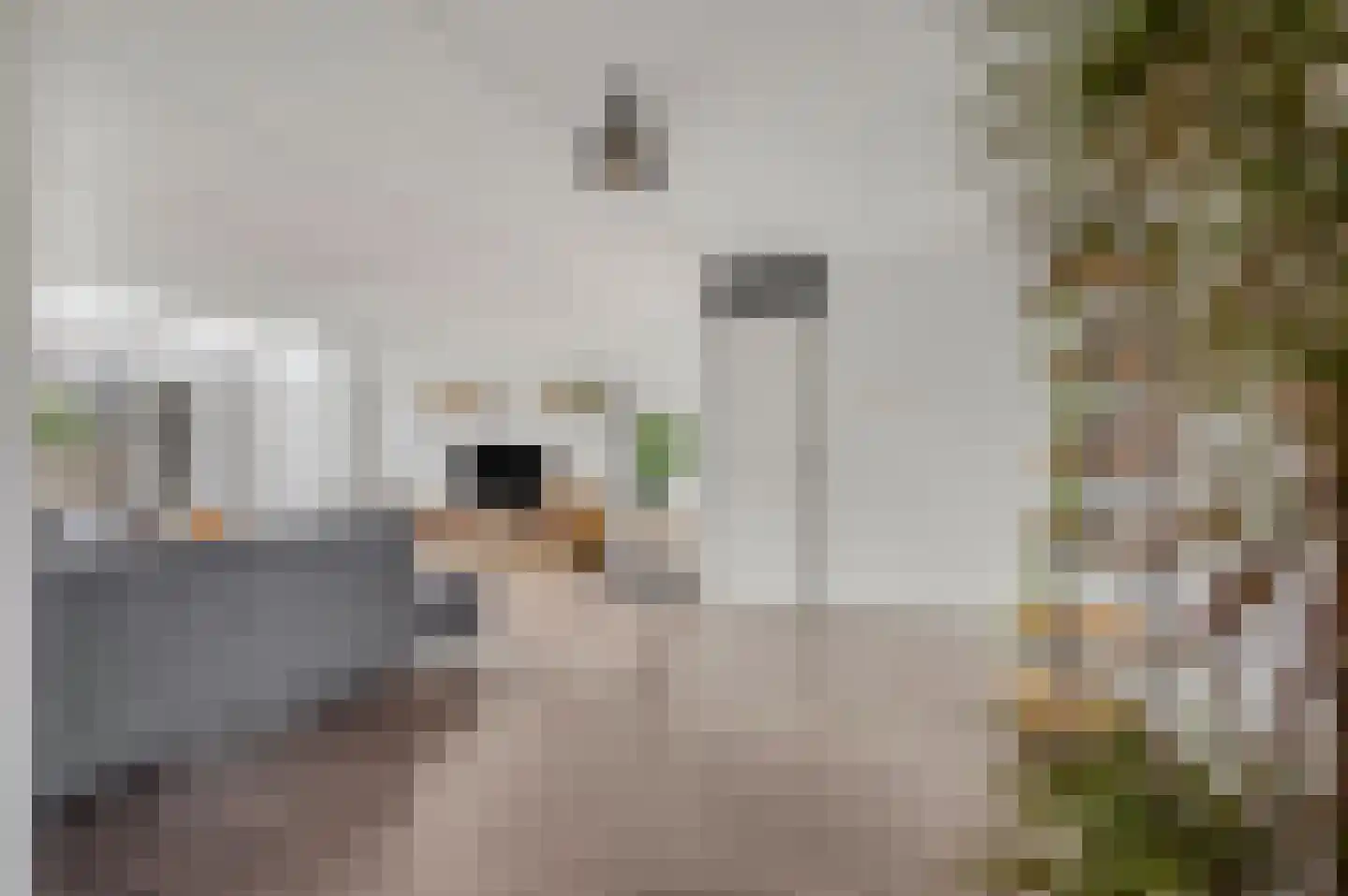 Martin Luther Kingstate 25 Ede thumbnail 5