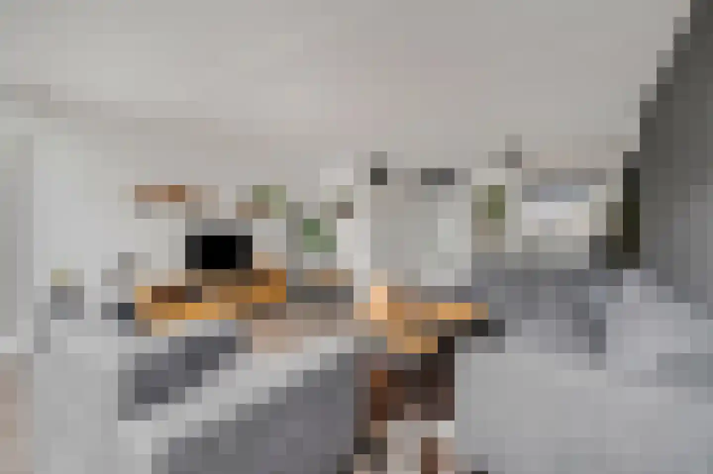 Martin Luther Kingstate 25 Ede thumbnail 6