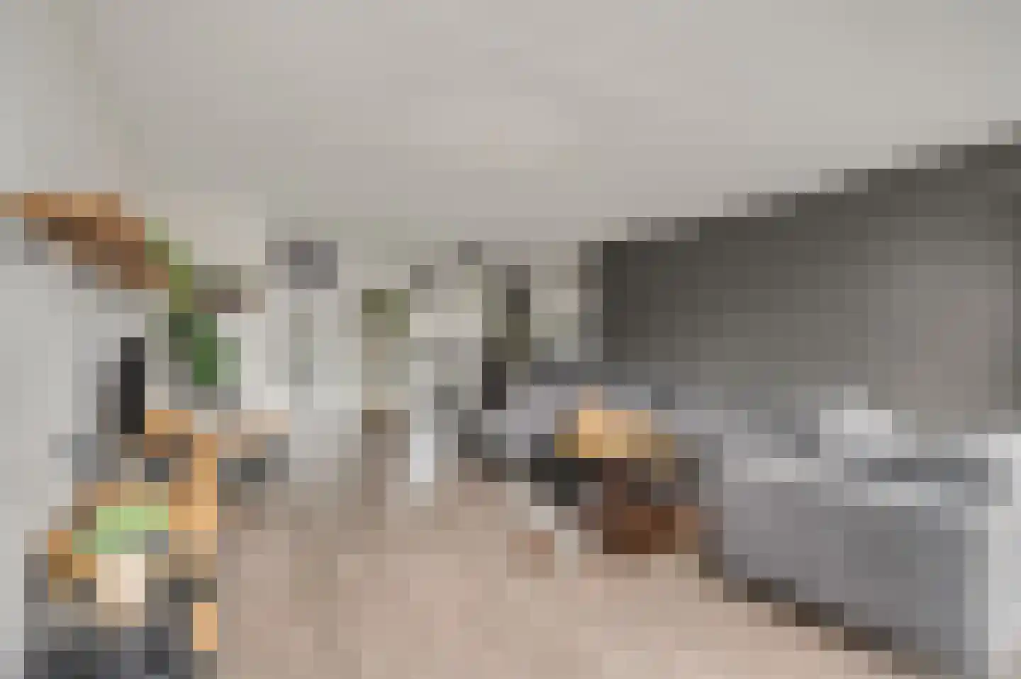 Martin Luther Kingstate 25 Ede thumbnail 7