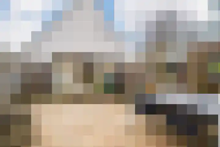 Martin Luther Kingstate 31 Ede thumbnail 33