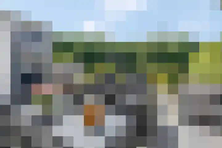 Martin Luther Kingstate 68 Ede thumbnail 31