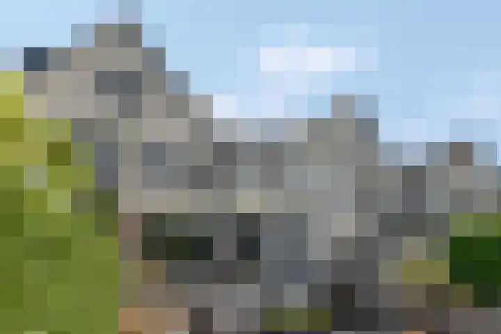Martin Luther Kingstate 68 Ede thumbnail 34