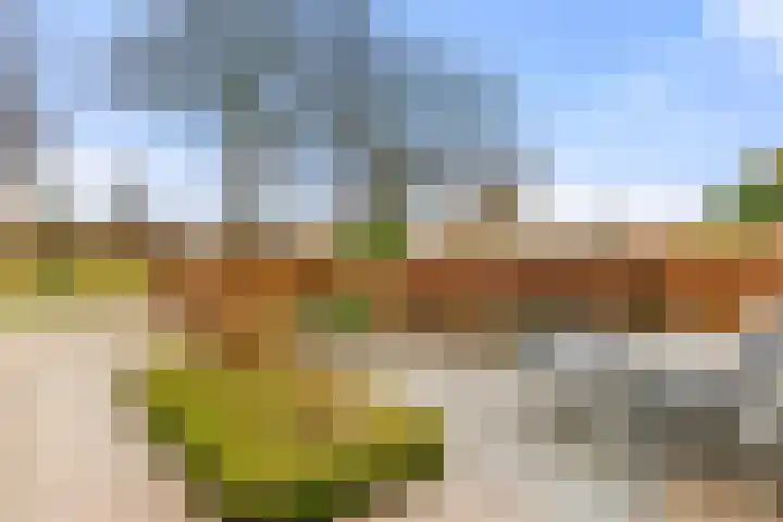 Martin Luther Kingstraat 11 Akersloot thumbnail 10