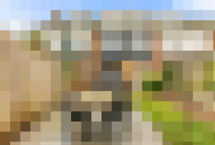 Martin Luther Kingstraat 11 Akersloot thumbnail 55