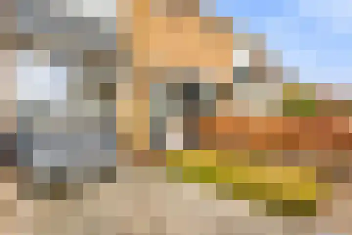 Martin Luther Kingstraat 11 Akersloot thumbnail 8
