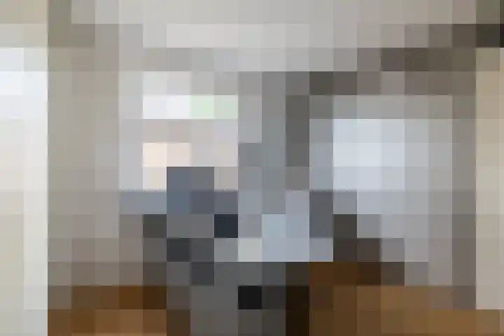 Martin Luther Kingstraat 12 Eygelshoven thumbnail 17