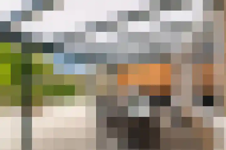 Martin Luther Kingstraat 12 Eygelshoven thumbnail 22
