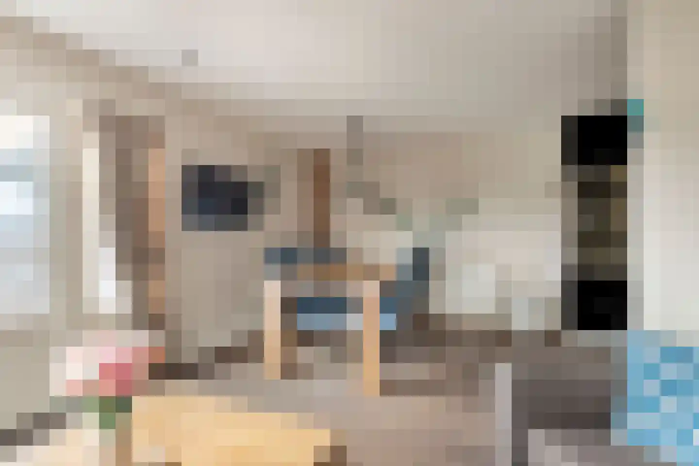 Martin Luther Kingstraat 17 Akersloot thumbnail 16