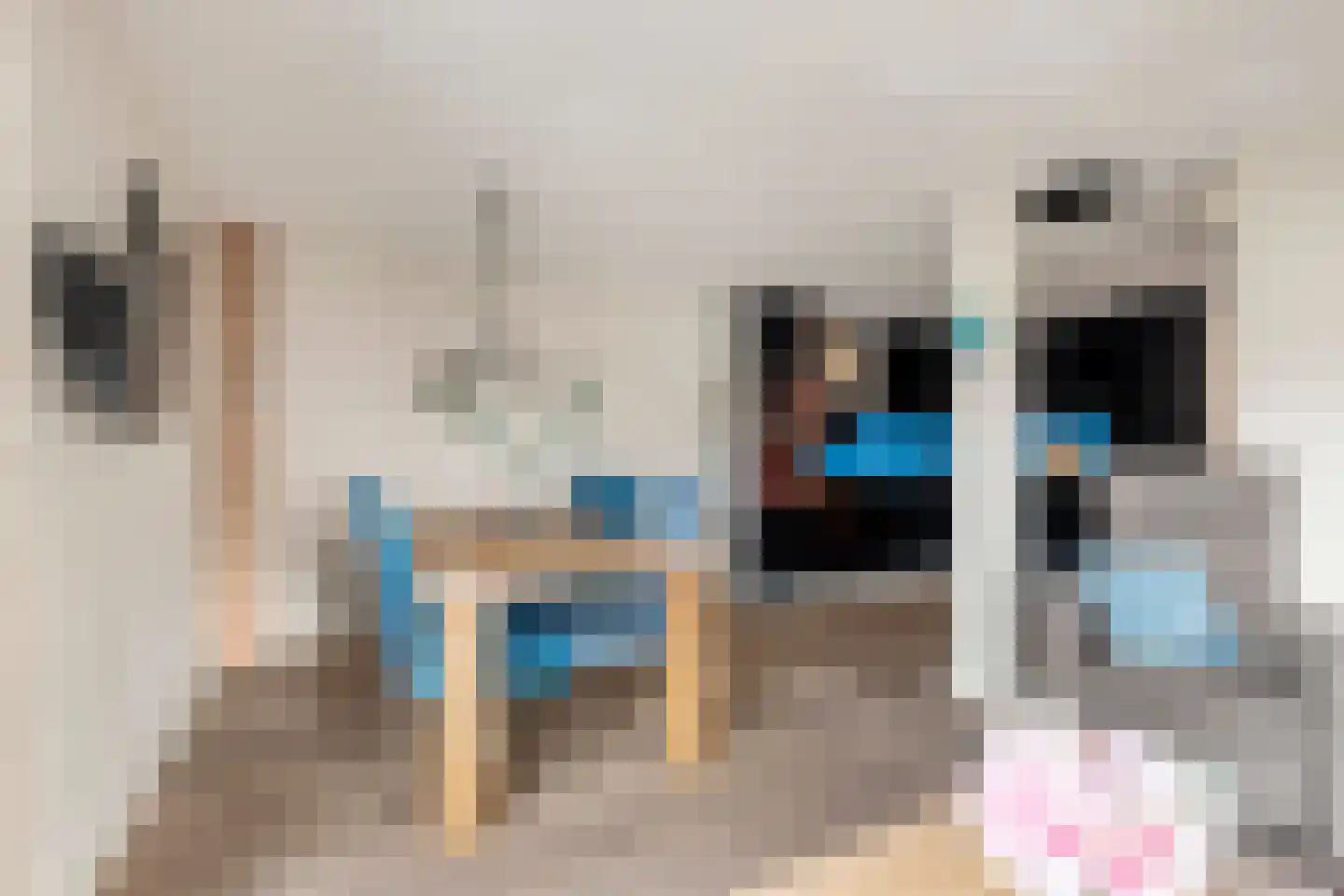 Martin Luther Kingstraat 17 Akersloot thumbnail 19