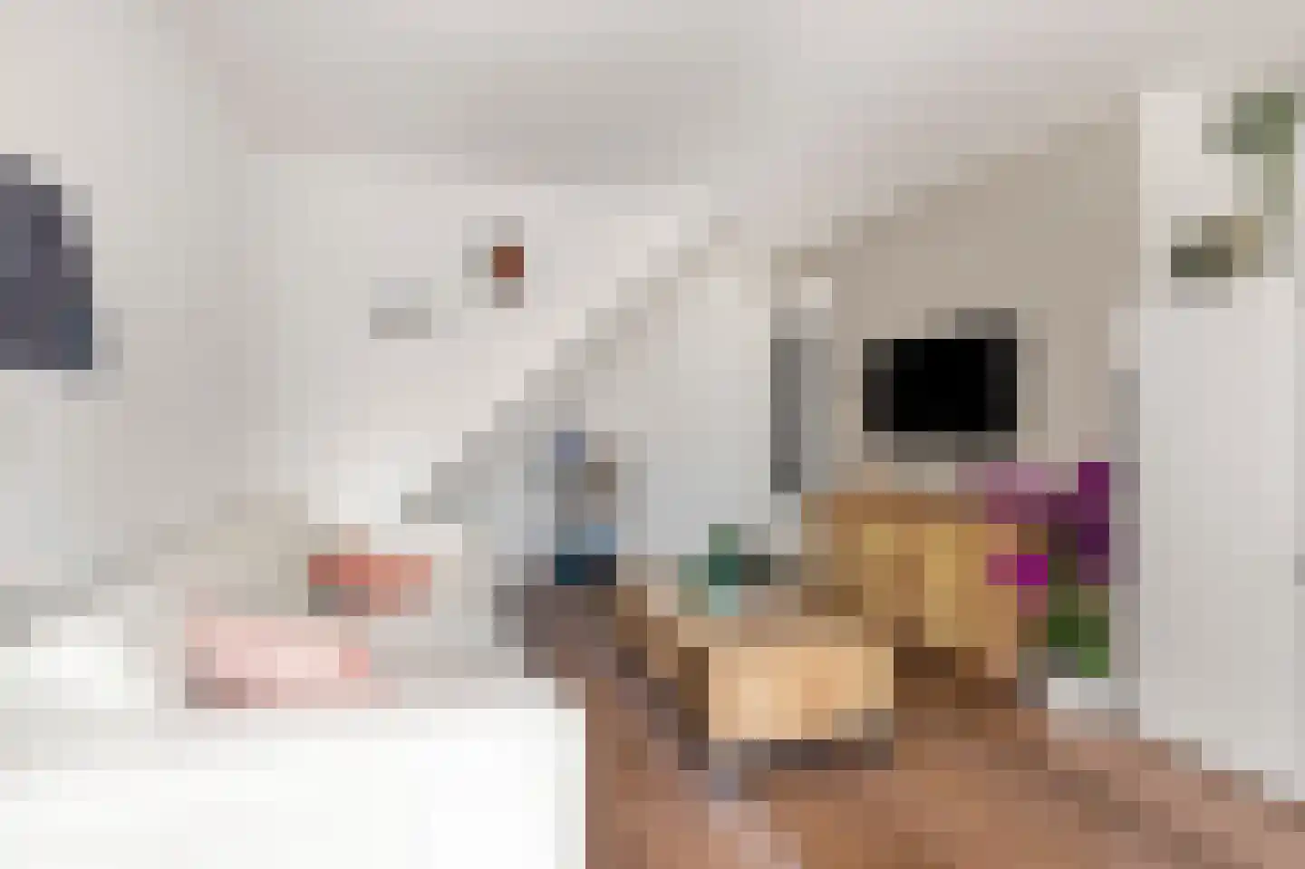 Martin Luther Kingstraat 18 Akersloot thumbnail 14