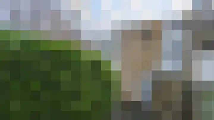 Martin Luther Kingstraat 23 Eygelshoven thumbnail 17