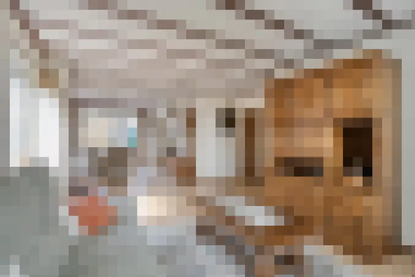 Martin-Luther-Kingstraat 26 Puth thumbnail 9