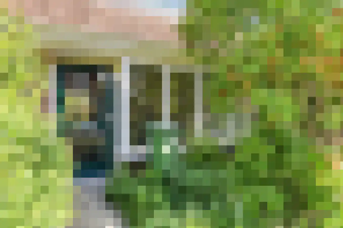 Martin Luther Kingstraat 31 Vlissingen thumbnail 5