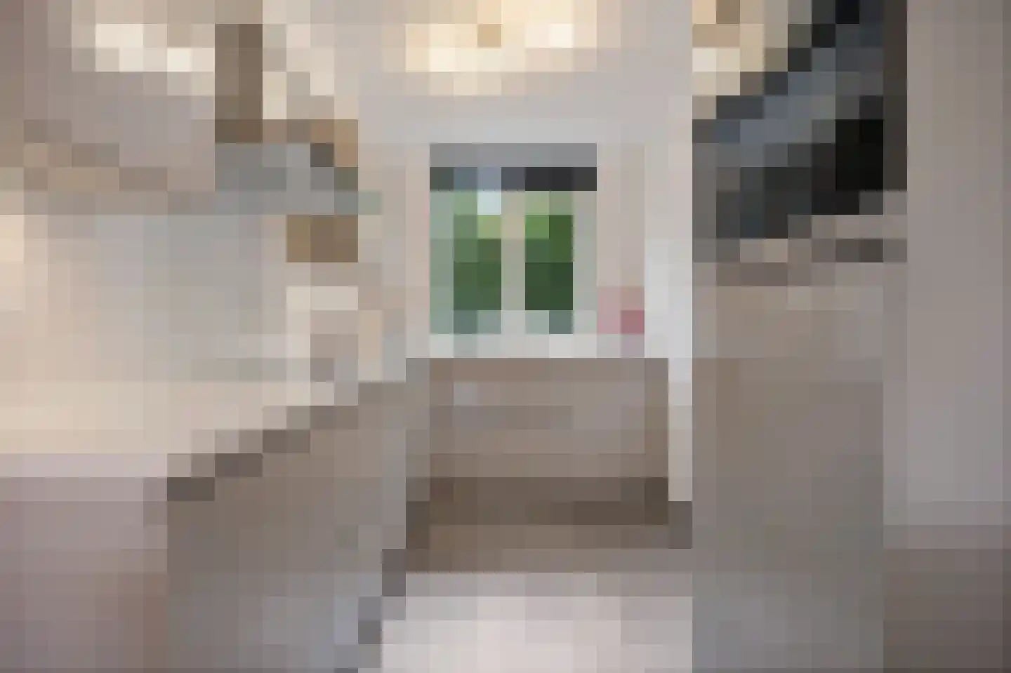 Martin Luther Kingstraat 33 Berghem thumbnail 13