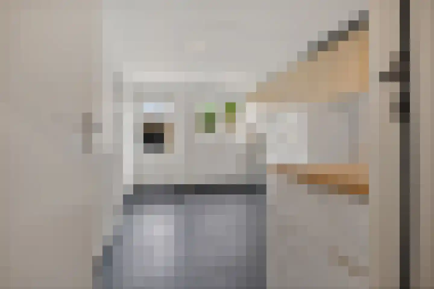 Martin Luther Kingstraat 33 Berghem thumbnail 15
