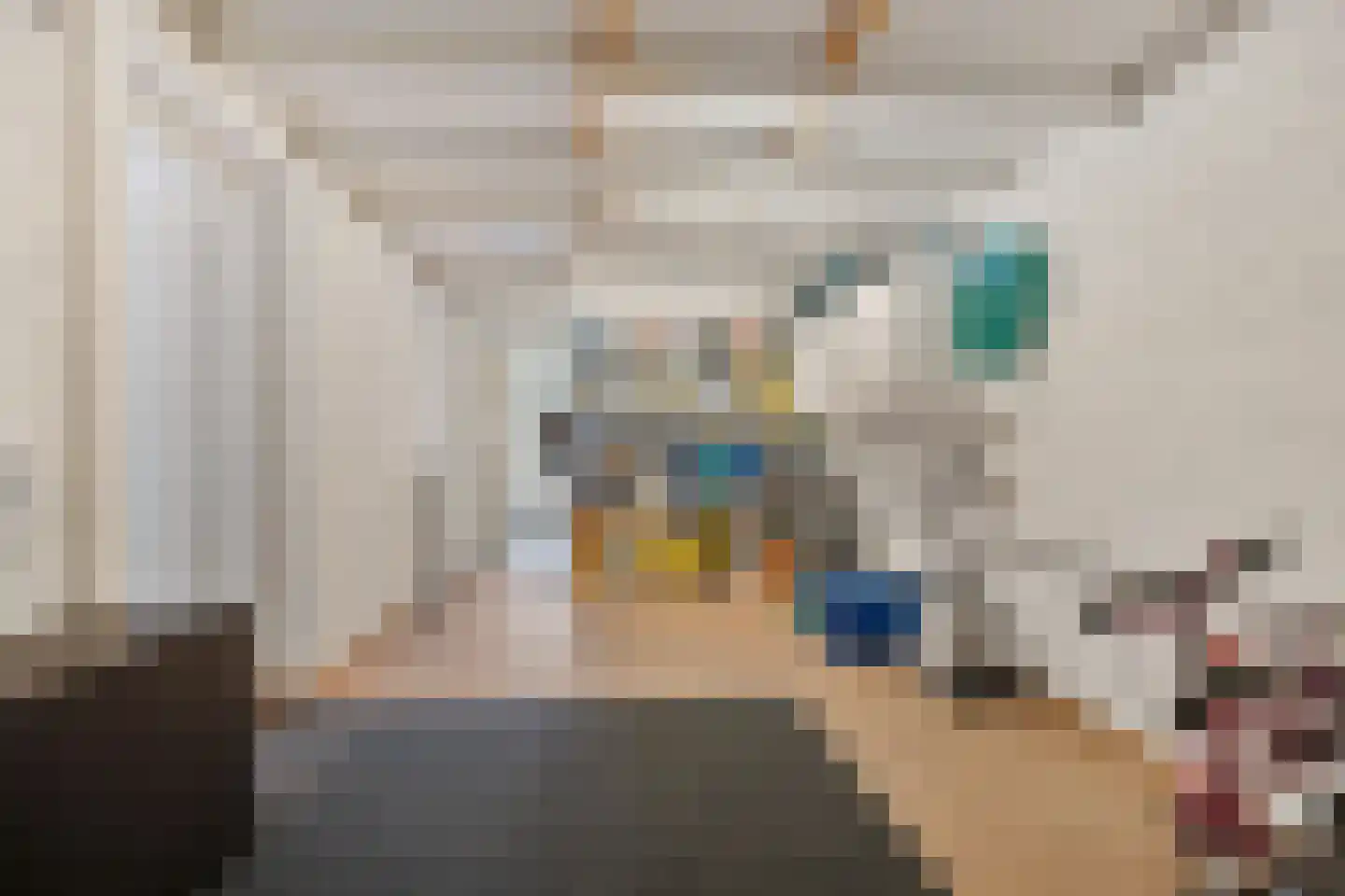 Martin Luther Kingstraat 33 Berghem thumbnail 17