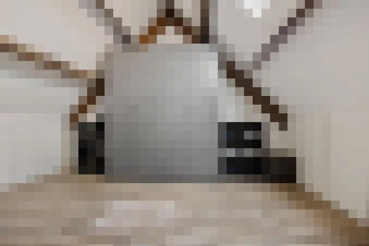 Martin Luther Kingstraat 33 Berghem thumbnail 32