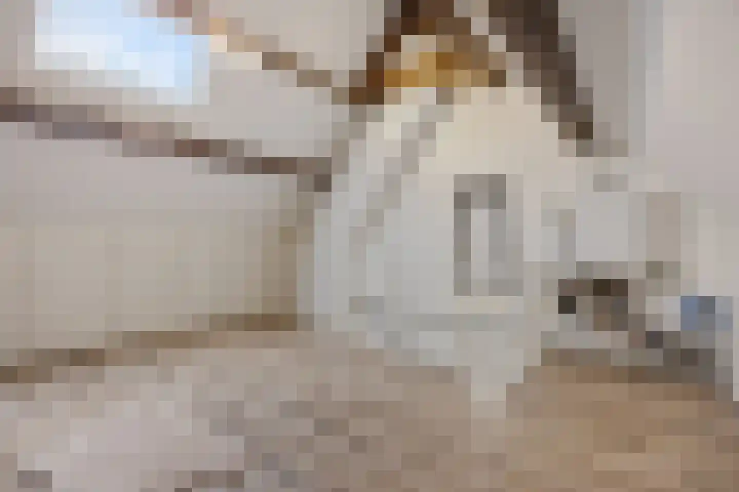 Martin Luther Kingstraat 33 Berghem thumbnail 33