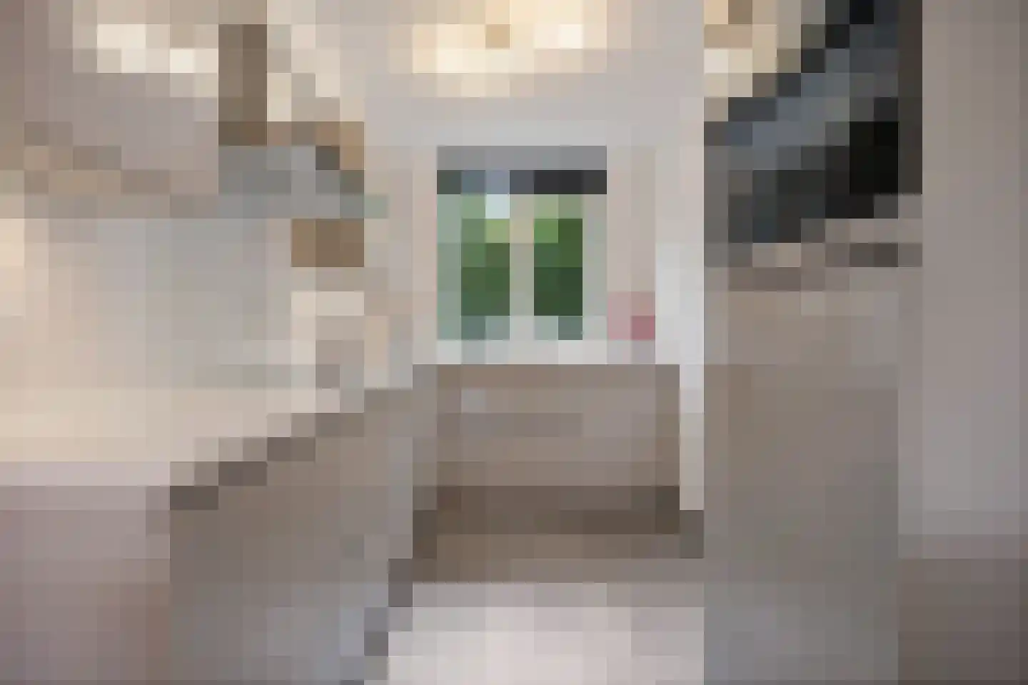 Martin Luther Kingstraat 33 Berghem thumbnail 4