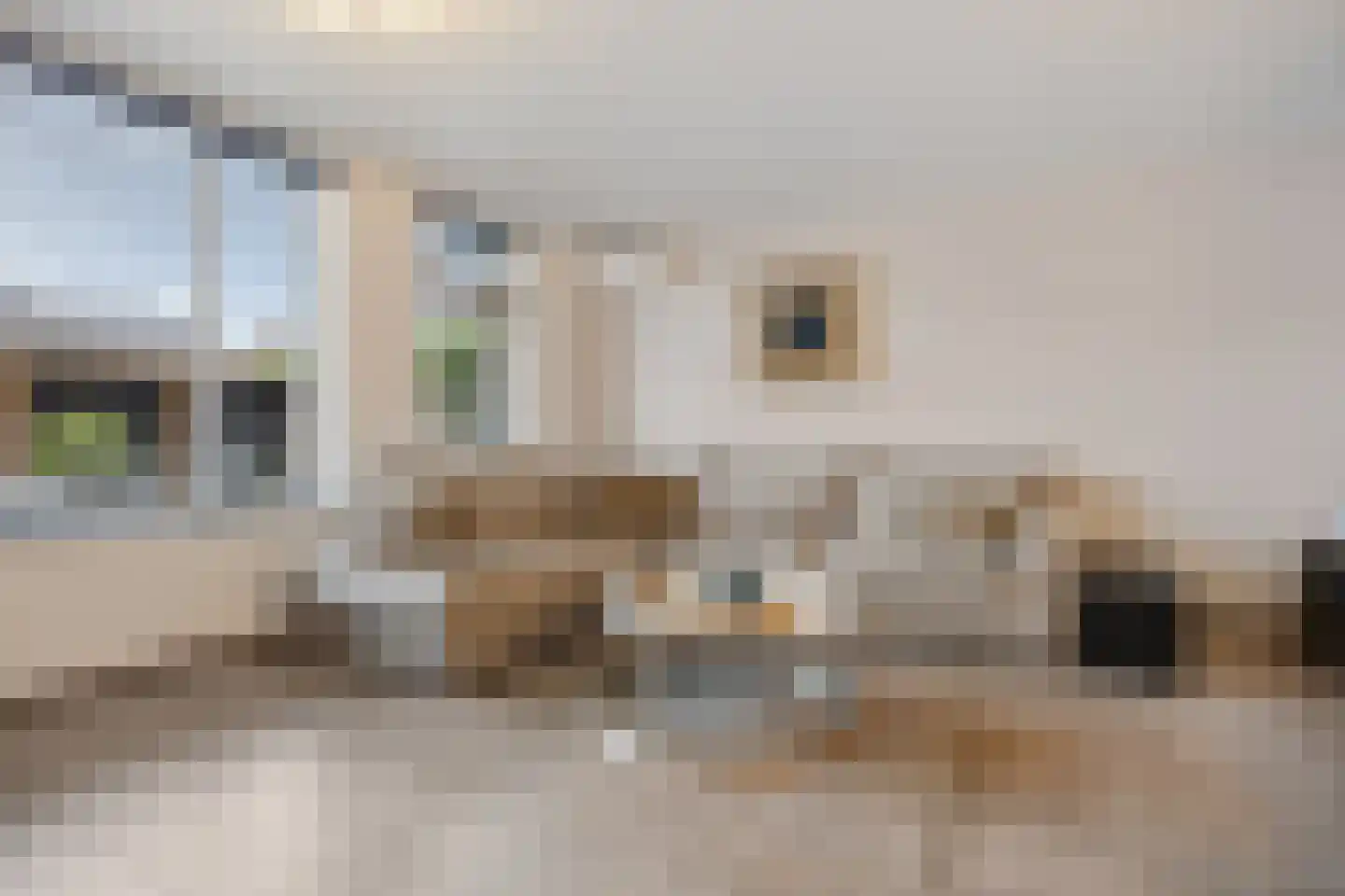 Martin Luther Kingstraat 33 Berghem thumbnail 7