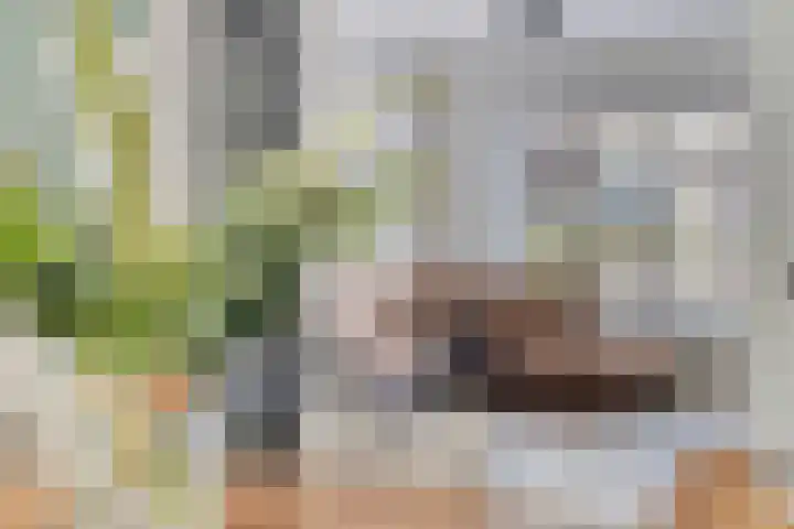 Martin Luther Kingstraat 36 Eygelshoven thumbnail 10
