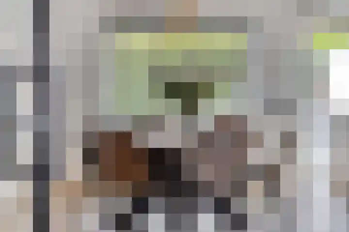 Martin Luther Kingstraat 36 Eygelshoven thumbnail 11