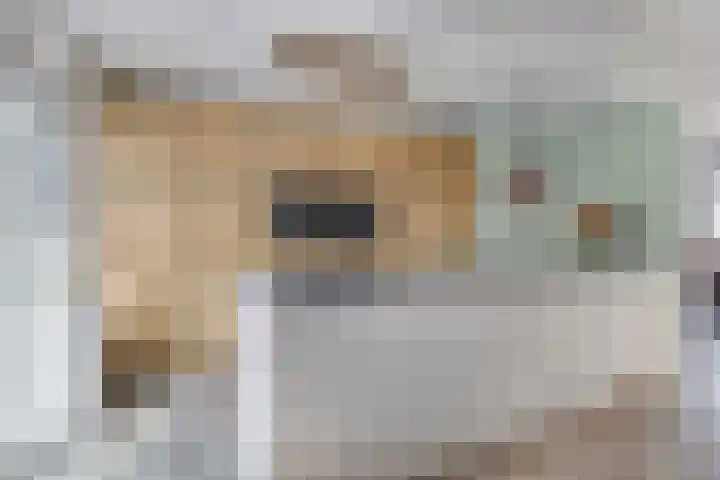 Martin Luther Kingstraat 36 Eygelshoven thumbnail 12