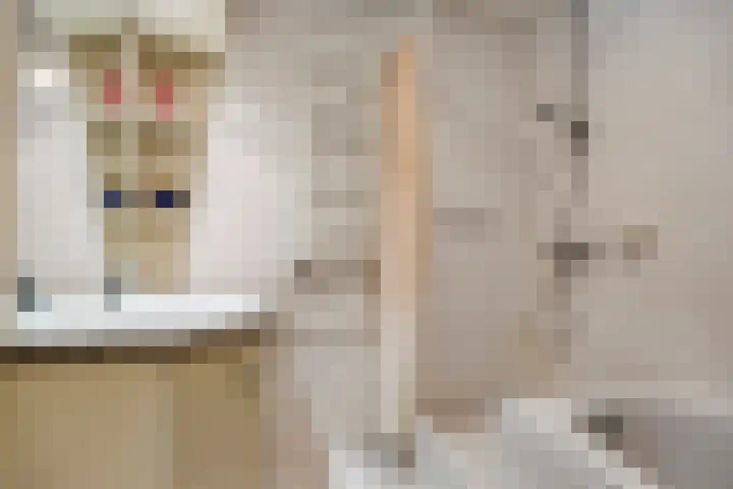 Martin Luther Kingstraat 4 Eindhoven thumbnail 21