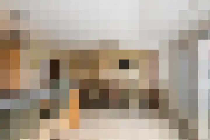 Martin Luther Kingstraat 6 Oud-Vossemeer thumbnail 18