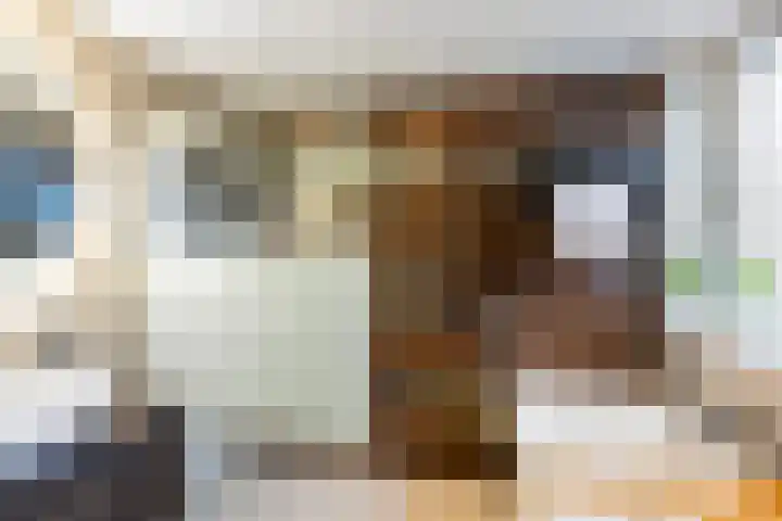 Martin Luther Kingstraat 6 Oud-Vossemeer thumbnail 33