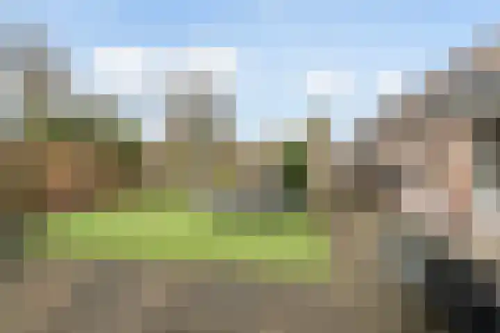 Martin Luther Kingstraat 6 Oud-Vossemeer thumbnail 39