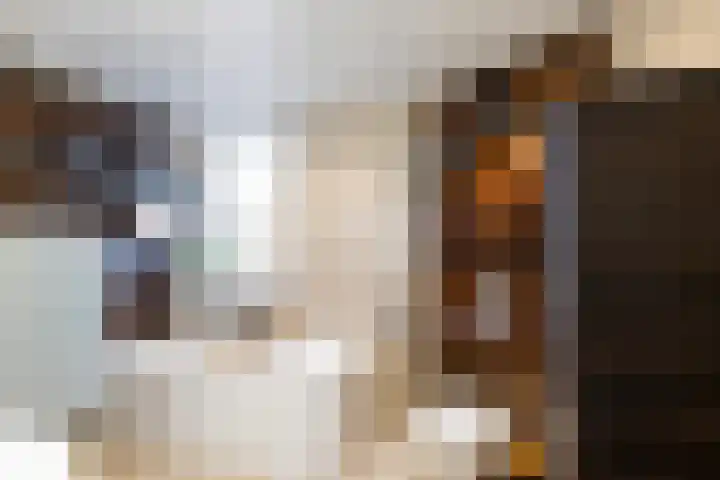 Martin Luther Kingstraat 6 Oud-Vossemeer thumbnail 4