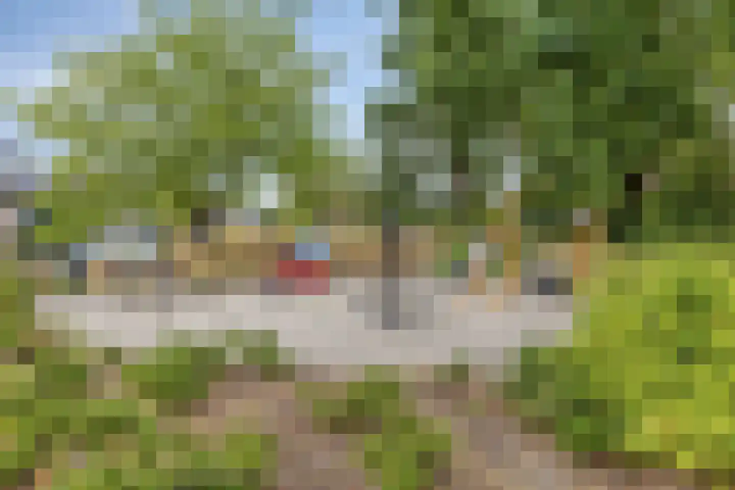 Martin Luther Kingstraat 62 Eindhoven thumbnail 48
