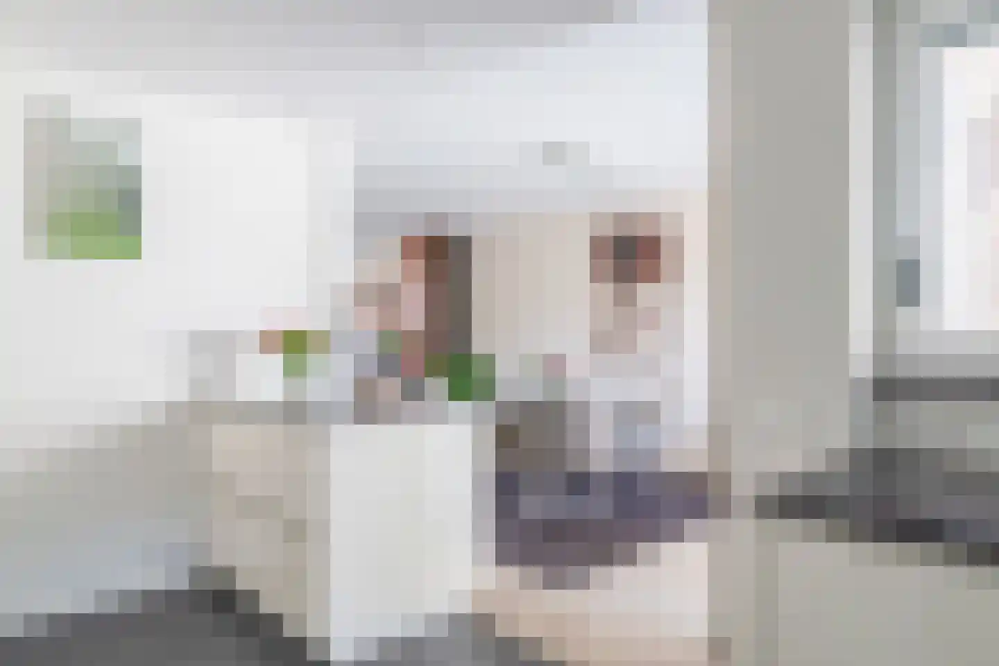 Martin Luther Kingstraat 70 Eindhoven thumbnail 20