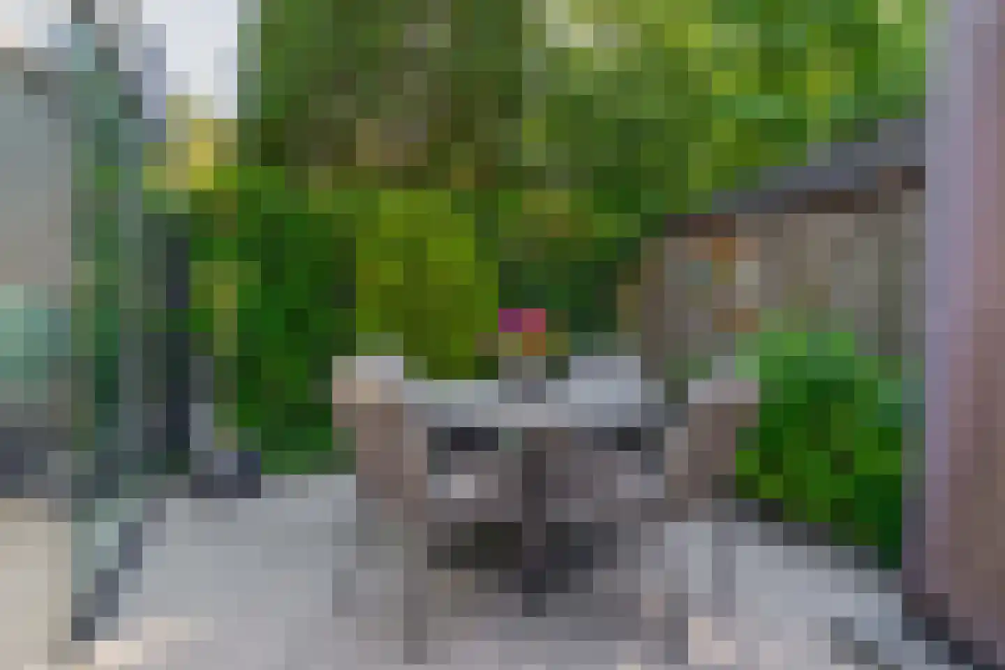 Martin Luther Kingstraat 70 Eindhoven thumbnail 43